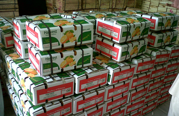 Fruit ready for shipment